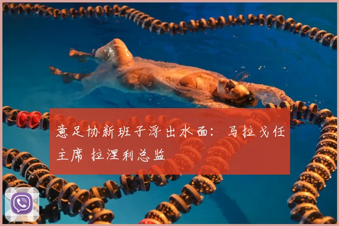 意足协新班子浮出水面：马拉戈任主席 拉涅利总监