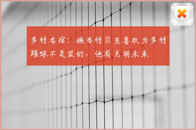 多特名宿：施洛特贝克喜欢为多特踢球不是装的，他有光明未来